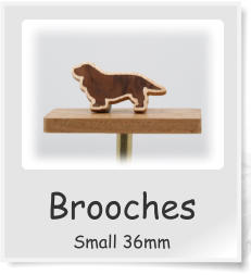 Brooches Small 36mm